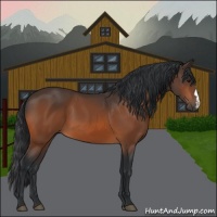 Horse Color:Brown 