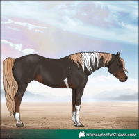 Horse Color:Liver Chestnut Tobiano 