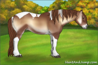 Horse Color:Red Onyx Tobiano 