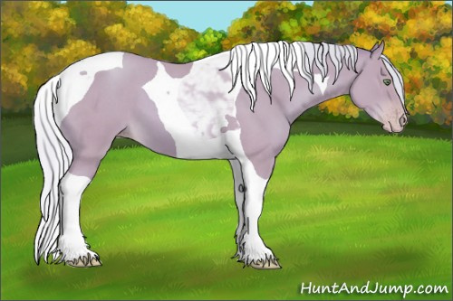 Horse Color:Watercolor Silver Sable Cream Champagne Roan Tobiano