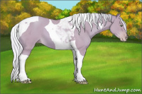 Horse Color:Watercolor Silver Sable Cream Champagne Roan Tobiano 