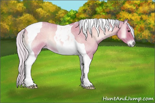 Horse Color:Watercolor Silver Bay Roan Onyx Tobiano