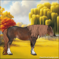 Horse Color:White Spotted Liver Chestnut Tobiano 