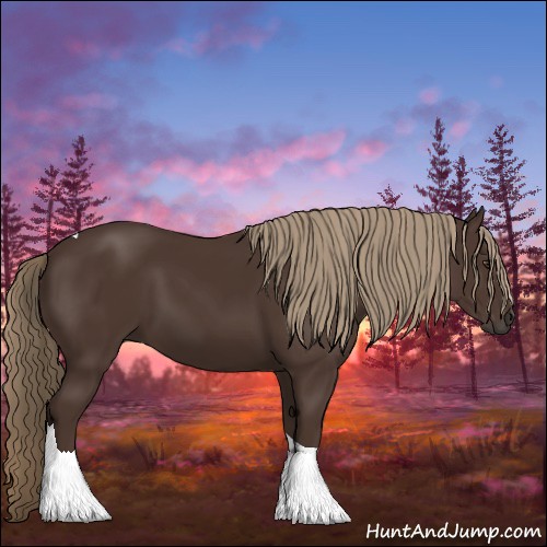 Horse Color:Liver Chestnut Tobiano