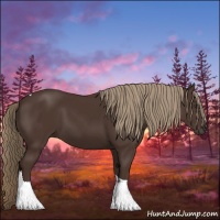 Horse Color:Liver Chestnut Tobiano 