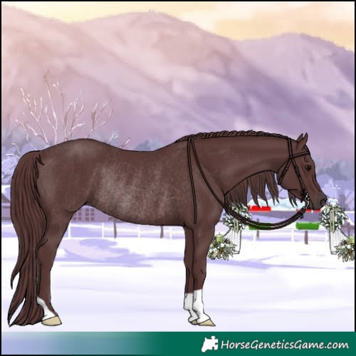 Horse Color:Chocolate Black Rabicano 