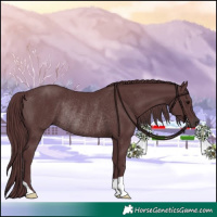 Horse Color:Chocolate Black Rabicano 