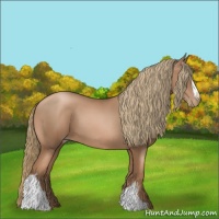 Horse Color:Liver Chestnut Pearl 