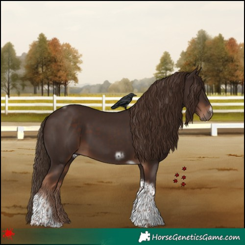 Horse Color:Liver Chestnut Tobiano Frame 