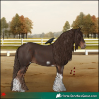 Horse Color:Liver Chestnut Tobiano Frame 