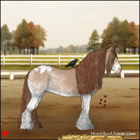 Horse Color:White Spotted Red Dun Tobiano Varnish 