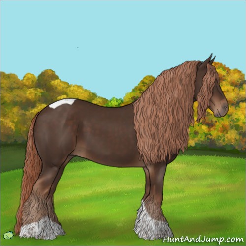 Horse Color:Liver Chestnut Tobiano 