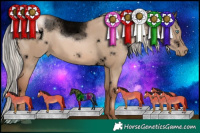 Horse Color:Void White Spotted Silver Grullo Pearl Rabicano 