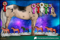 Horse Color:Void White Spotted Silver Grullo Pearl Rabicano 