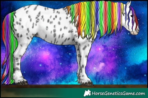 Horse Color:Painted Black Ice Appaloosa 