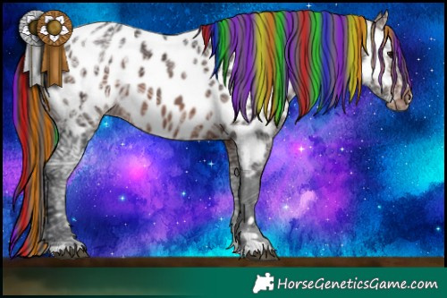 Horse Color:Painted Brown Ice Appaloosa 