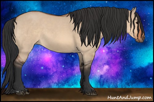 Horse Color:Bay Roan Dun 