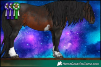 Horse Color:Gray Brown Tobiano