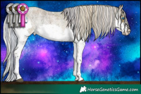 Horse Color:Painted Silver Brown Ice Roan Onyx Splash