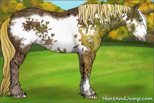 Horse Color:Chestnut Ice Frame 