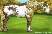 Horse Color:Chestnut Ice Frame 