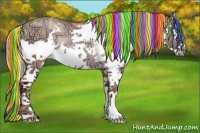 Horse Color:Painted Gold Champagne Ice Roan Dun Splash Rabicano 