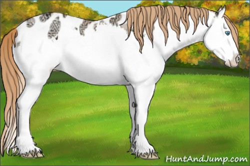 Horse Color:White Spotted Gold Champagne Ice Pearl Dun Sabino Splash Near Leopard Rabicano 