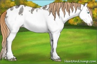 Horse Color:White Spotted Gold Champagne Ice Pearl Dun Sabino Splash Near Leopard Rabicano 