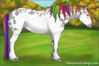 Horse Color:Painted Gold Champagne Ice Roan Dun Splash Frame Appaloosa 