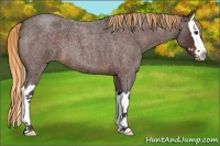 Horse Color:Painted Silver Brown Roan Splash 