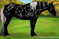 Horse Color:Void White Spotted Silver Sable Champagne Ice Dun Splash Near Leopard Rabicano 