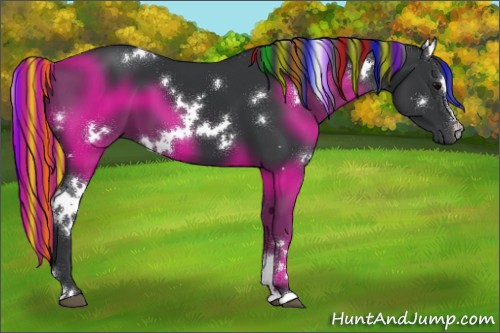 Horse Color:Painted White Spotted Black Sabino 