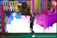 Horse Color:Painted White Spotted Midnight Liver Red Dun Ice Sabino Rabicano