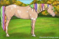 Horse Color:Painted White Spotted Gold Champagne Rabicano 