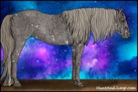 Horse Color:White Spotted Liver Chestnut Ice Mushroom Rabicano 