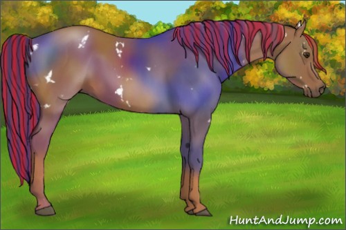 Horse Color:Painted White Spotted Chestnut Rabicano 