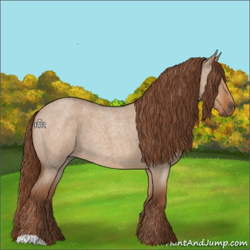 Horse Color:Red Dun Roan 