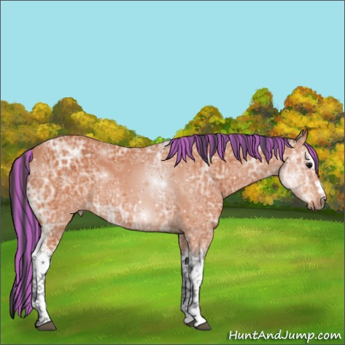 Horse Color:Painted White Spotted Bay Ice 