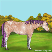 Horse Color:Painted White Spotted Bay Ice