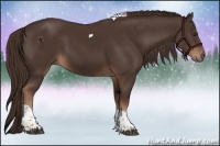 Horse Color:Liver Chestnut Tobiano 