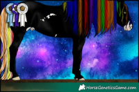 Horse Color:Painted White Spotted Gold Champagne Dun Appaloosa Rabicano 