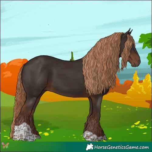 Horse Color:Liver Chestnut Tobiano