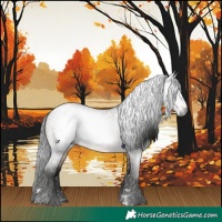 Horse Color:Gray Brown Roan 