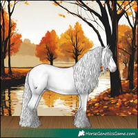 Horse Color:Gray Brown Roan 