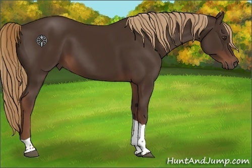 Horse Color:Liver Chestnut Tobiano Rabicano 