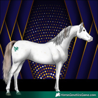 Horse Color:Red Dun Sabino 