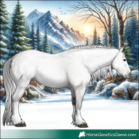 Horse Color:Gray Grullo Tobiano 