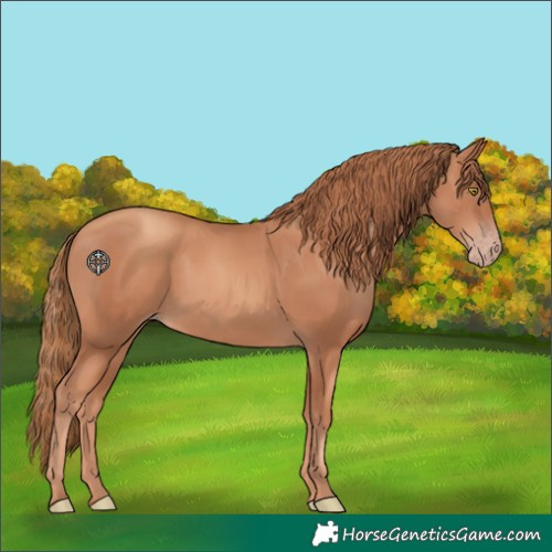 Horse Color:Gold Champagne 
