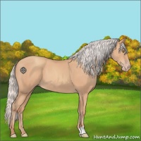 Horse Color:Silver Amber Champagne 