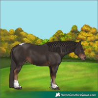 Horse Color:Liver Chestnut Tobiano 